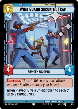 Wing Guard Security Team