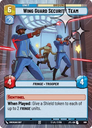 Wing Guard Security Team